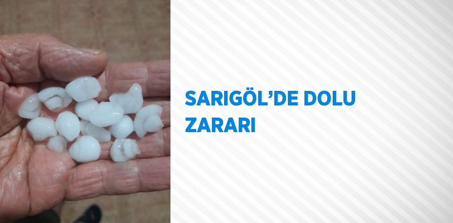 SARIGÖL’DE DOLU ZARARI