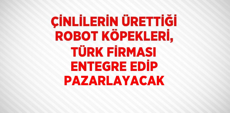 ÇİNLİLERİN ÜRETTİĞİ ROBOT KÖPEKLERİ, TÜRK FİRMASI ENTEGRE EDİP PAZARLAYACAK