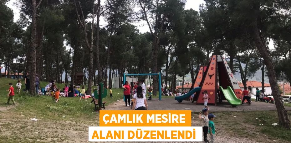 Çamlık mesire alanı düzenlendi