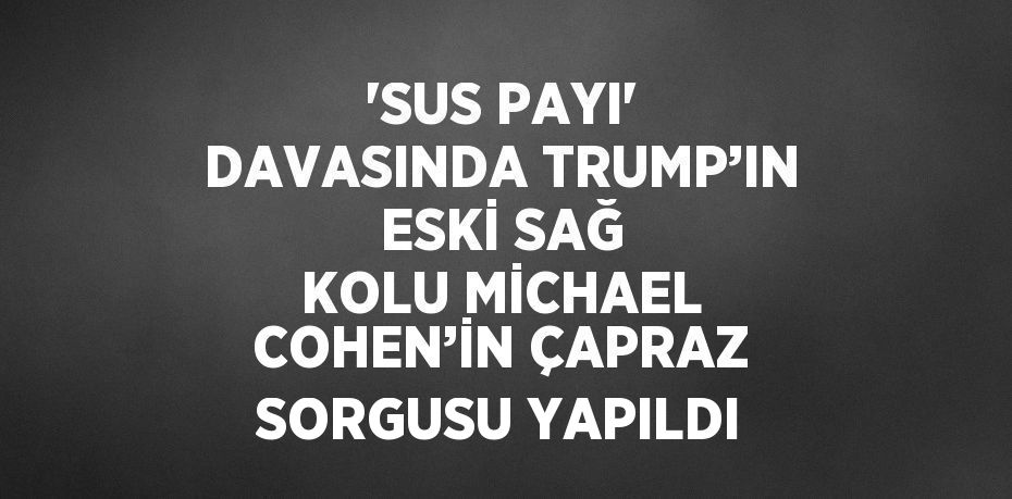 'SUS PAYI' DAVASINDA TRUMP’IN ESKİ SAĞ KOLU MİCHAEL COHEN’İN ÇAPRAZ SORGUSU YAPILDI