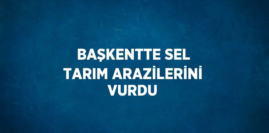 BAŞKENTTE SEL TARIM ARAZİLERİNİ VURDU