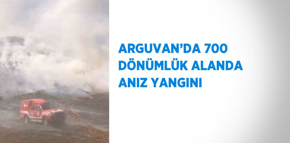 ARGUVAN’DA 700 DÖNÜMLÜK ALANDA ANIZ YANGINI