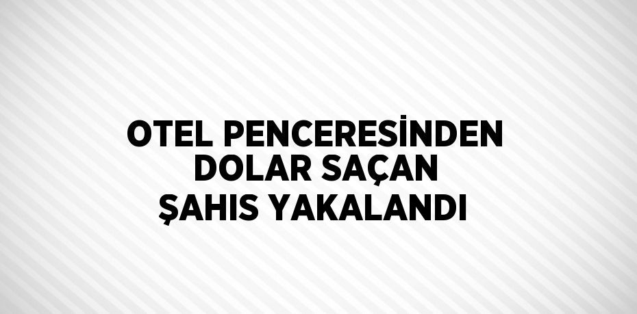 OTEL PENCERESİNDEN DOLAR SAÇAN ŞAHIS YAKALANDI