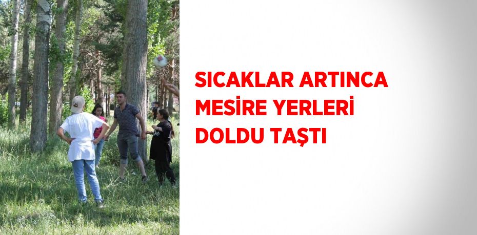 SICAKLAR ARTINCA MESİRE YERLERİ DOLDU TAŞTI