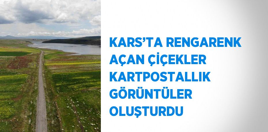 KARS’TA RENGARENK AÇAN ÇİÇEKLER KARTPOSTALLIK GÖRÜNTÜLER OLUŞTURDU