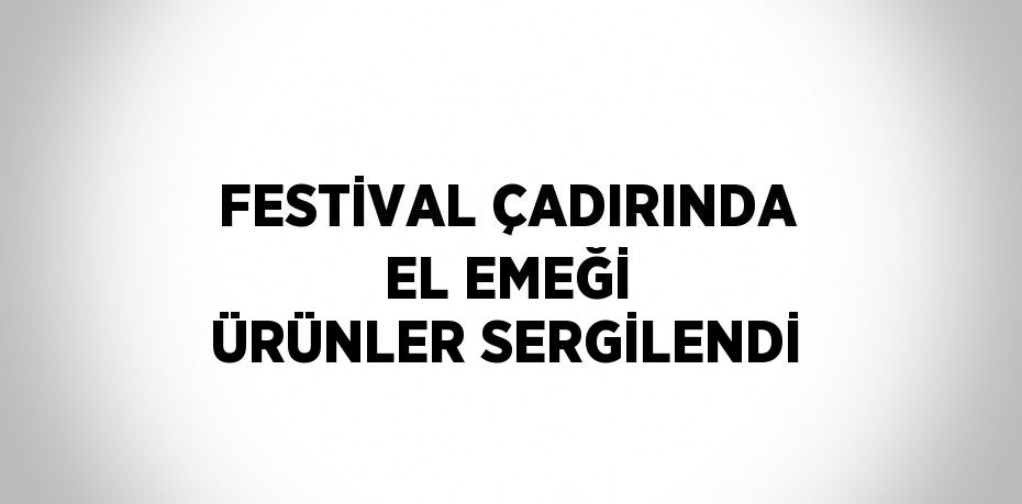 FESTİVAL ÇADIRINDA EL EMEĞİ ÜRÜNLER SERGİLENDİ