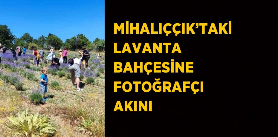 MİHALIÇÇIK’TAKİ LAVANTA BAHÇESİNE FOTOĞRAFÇI AKINI