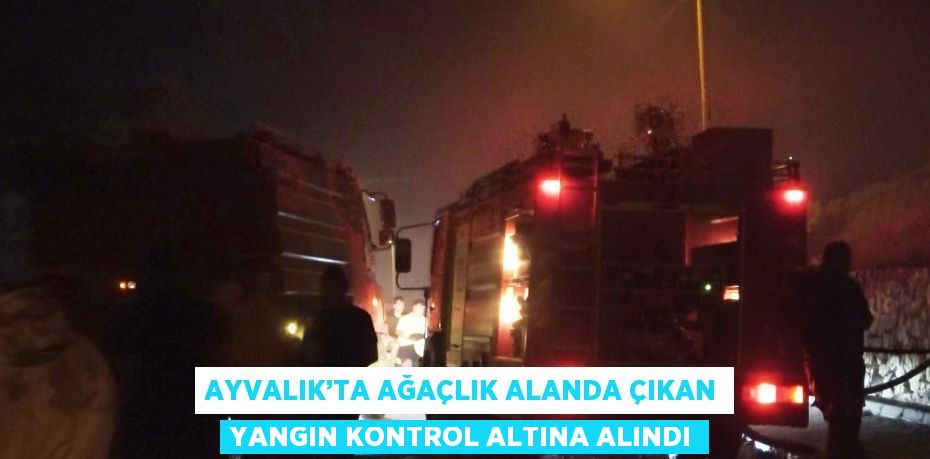 AYVALIK’TA AĞAÇLIK ALANDA ÇIKAN YANGIN KONTROL ALTINA ALINDI