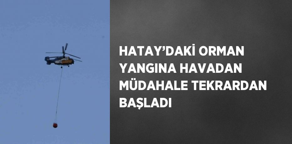 HATAY’DAKİ ORMAN YANGINA HAVADAN MÜDAHALE TEKRARDAN BAŞLADI