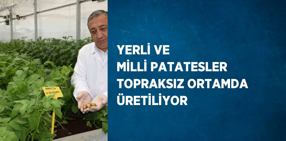 YERLİ VE MİLLİ PATATESLER TOPRAKSIZ ORTAMDA ÜRETİLİYOR