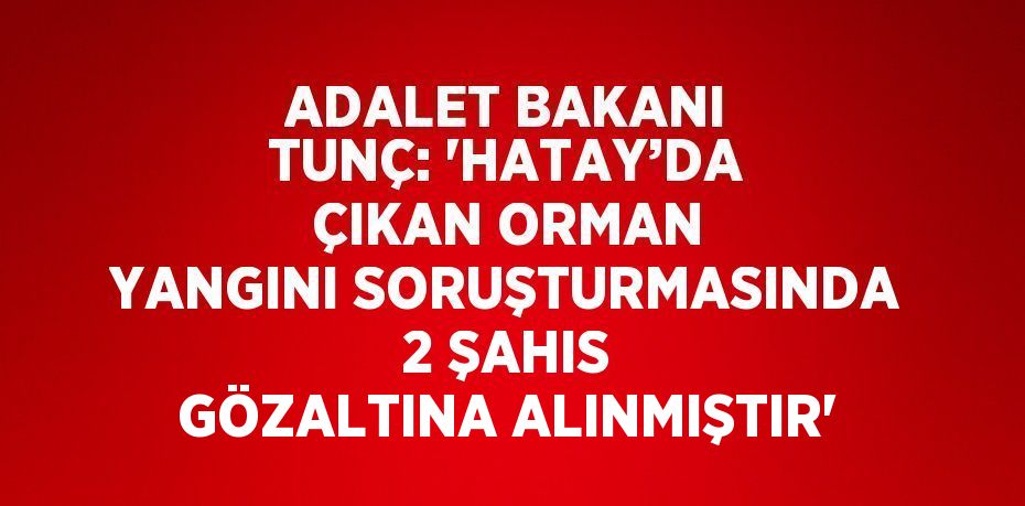 ADALET BAKANI TUNÇ: 'HATAY’DA ÇIKAN ORMAN YANGINI SORUŞTURMASINDA 2 ŞAHIS GÖZALTINA ALINMIŞTIR'