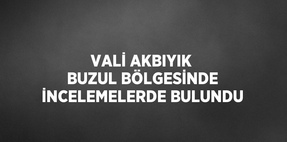 VALİ AKBIYIK BUZUL BÖLGESİNDE İNCELEMELERDE BULUNDU