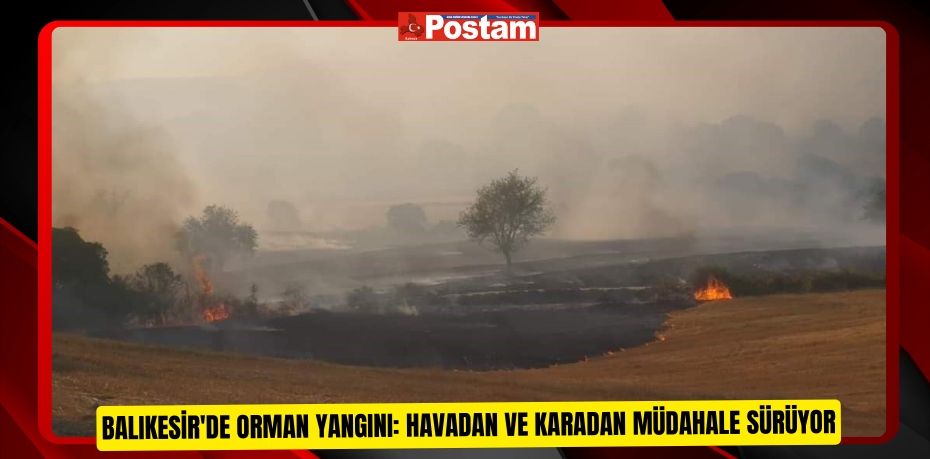 Balıkesir'de orman yangını: Havadan ve karadan müdahale sürüyor  