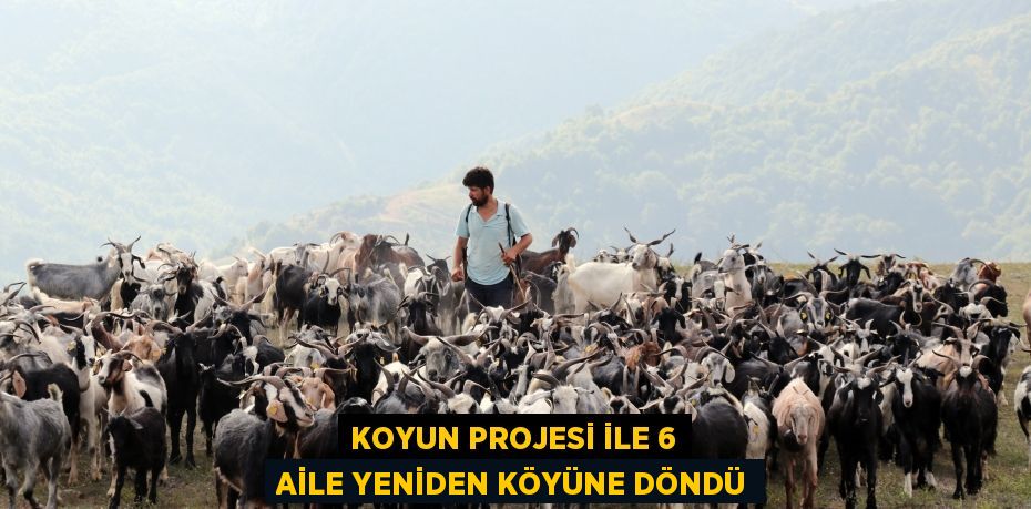 Koyun projesi ile 6 aile yeniden köyüne döndü