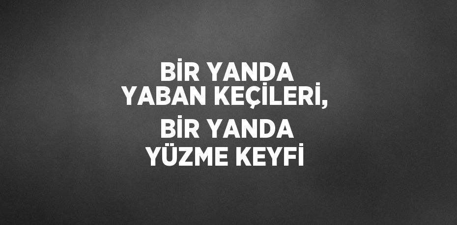 BİR YANDA YABAN KEÇİLERİ, BİR YANDA YÜZME KEYFİ