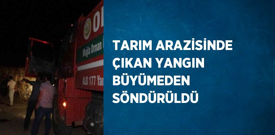 TARIM ARAZİSİNDE ÇIKAN YANGIN BÜYÜMEDEN SÖNDÜRÜLDÜ