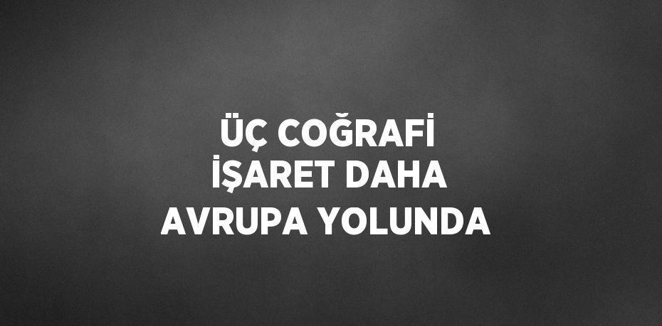 ÜÇ COĞRAFİ İŞARET DAHA AVRUPA YOLUNDA