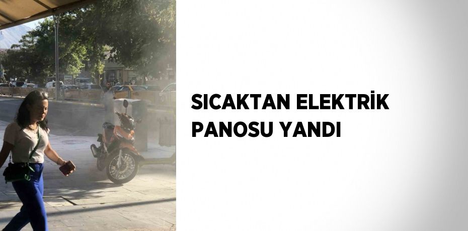 SICAKTAN ELEKTRİK PANOSU YANDI