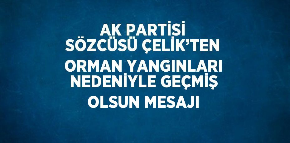 AK PARTİSİ SÖZCÜSÜ ÇELİK’TEN ORMAN YANGINLARI NEDENİYLE GEÇMİŞ OLSUN MESAJI