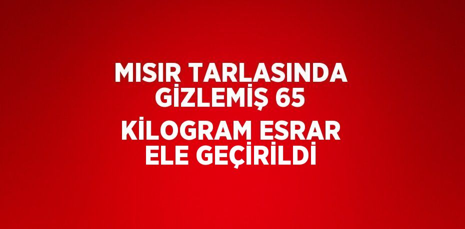 MISIR TARLASINDA GİZLEMİŞ 65 KİLOGRAM ESRAR ELE GEÇİRİLDİ