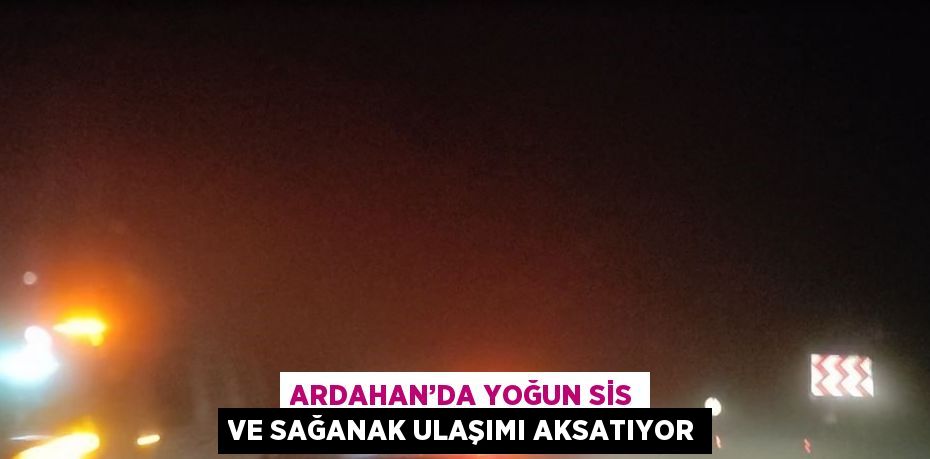 ARDAHAN’DA YOĞUN SİS VE SAĞANAK ULAŞIMI AKSATIYOR