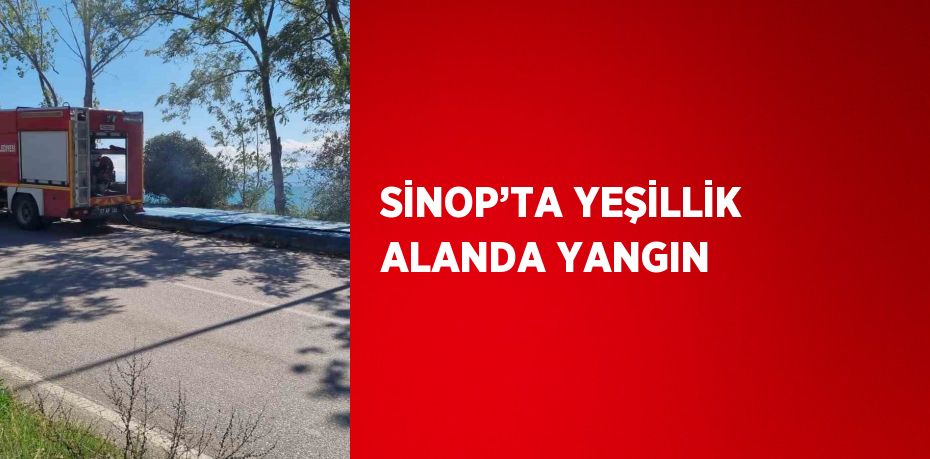 SİNOP’TA YEŞİLLİK ALANDA YANGIN