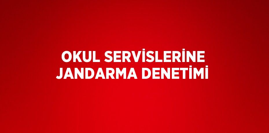 OKUL SERVİSLERİNE JANDARMA DENETİMİ