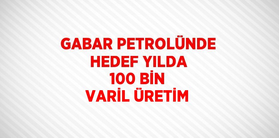 GABAR PETROLÜNDE HEDEF YILDA 100 BİN VARİL ÜRETİM