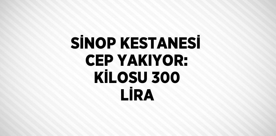 SİNOP KESTANESİ CEP YAKIYOR: KİLOSU 300 LİRA