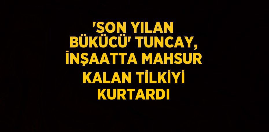 'SON YILAN BÜKÜCÜ' TUNCAY, İNŞAATTA MAHSUR KALAN TİLKİYİ KURTARDI