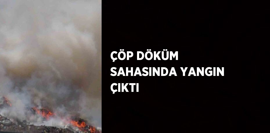 ÇÖP DÖKÜM SAHASINDA YANGIN ÇIKTI