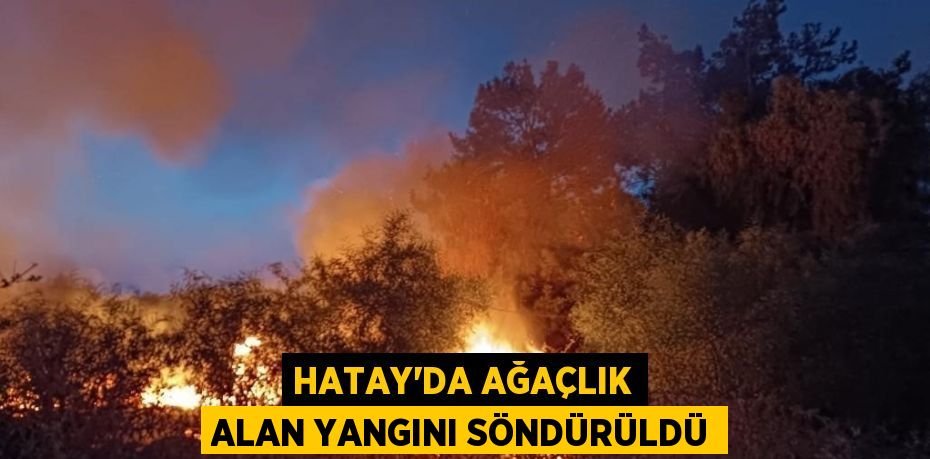 HATAY’DA AĞAÇLIK ALAN YANGINI SÖNDÜRÜLDÜ