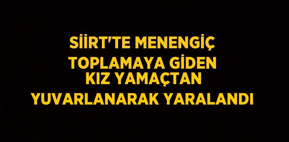 SİİRT’TE MENENGİÇ TOPLAMAYA GİDEN KIZ YAMAÇTAN YUVARLANARAK YARALANDI