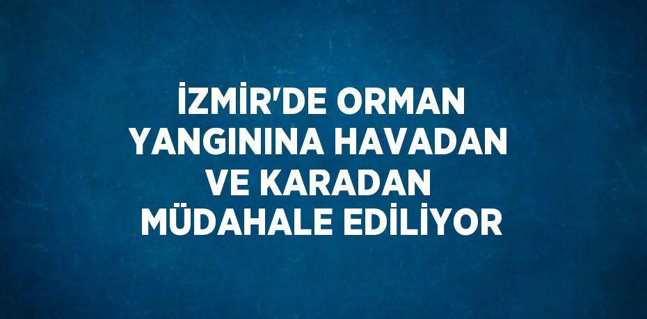 İZMİR’DE ORMAN YANGININA HAVADAN VE KARADAN MÜDAHALE EDİLİYOR