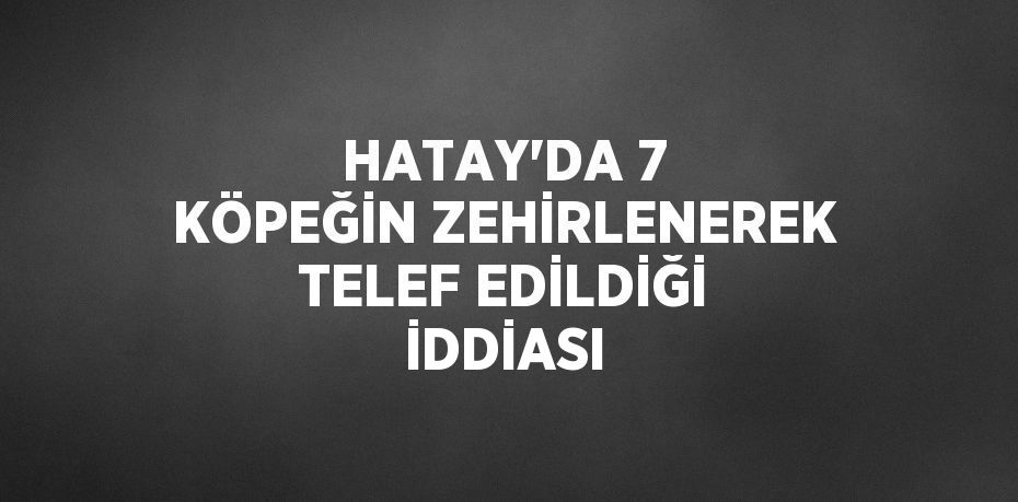 HATAY’DA 7 KÖPEĞİN ZEHİRLENEREK TELEF EDİLDİĞİ İDDİASI