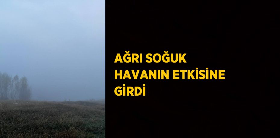 AĞRI SOĞUK HAVANIN ETKİSİNE GİRDİ