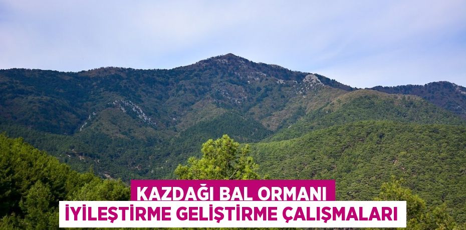 Kazdağı Bal Ormanı İyileştirme Geliştirme Çalışmaları