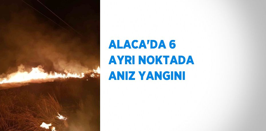 ALACA’DA 6 AYRI NOKTADA ANIZ YANGINI