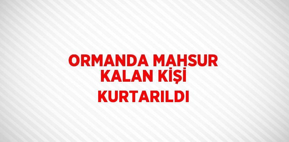 ORMANDA MAHSUR KALAN KİŞİ KURTARILDI