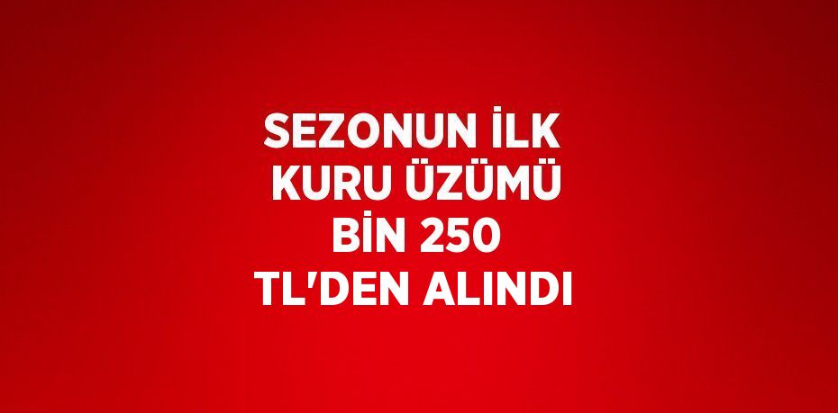 SEZONUN İLK KURU ÜZÜMÜ BİN 250 TL’DEN ALINDI