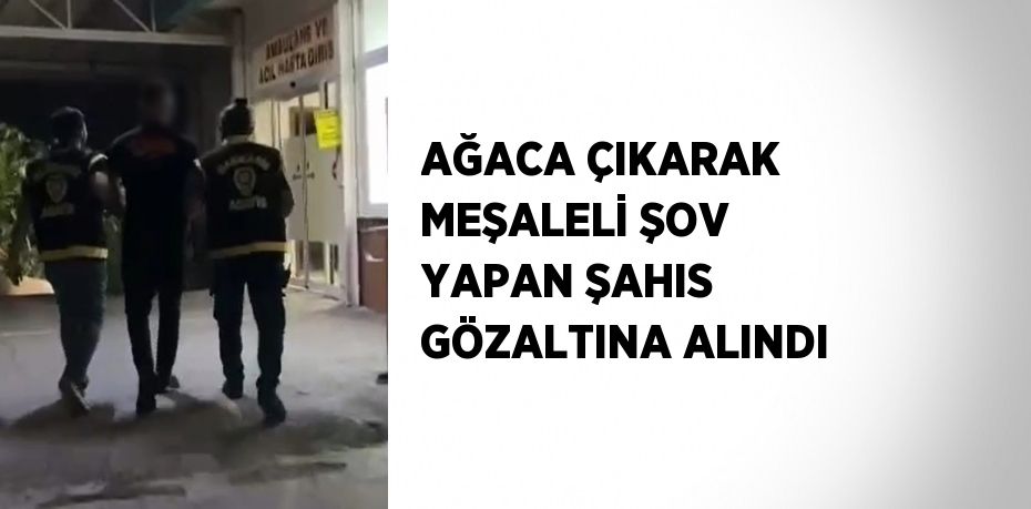 AĞACA ÇIKARAK MEŞALELİ ŞOV YAPAN ŞAHIS GÖZALTINA ALINDI