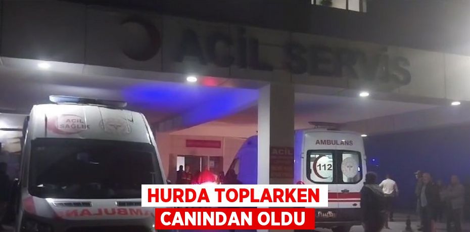 HURDA TOPLARKEN CANINDAN OLDU