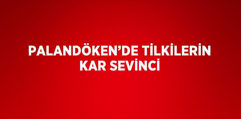 PALANDÖKEN’DE TİLKİLERİN KAR SEVİNCİ