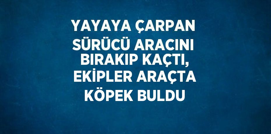 YAYAYA ÇARPAN SÜRÜCÜ ARACINI BIRAKIP KAÇTI, EKİPLER ARAÇTA KÖPEK BULDU