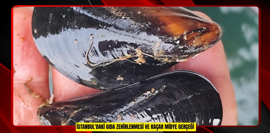 İstanbul'daki gıda zehirlenmesi ve kaçak midye gerçeği
