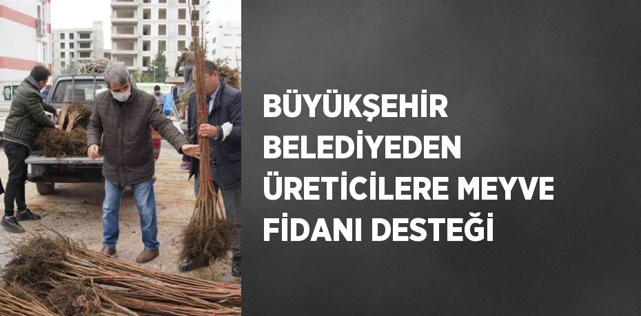 BÜYÜKŞEHİR BELEDİYEDEN ÜRETİCİLERE MEYVE FİDANI DESTEĞİ