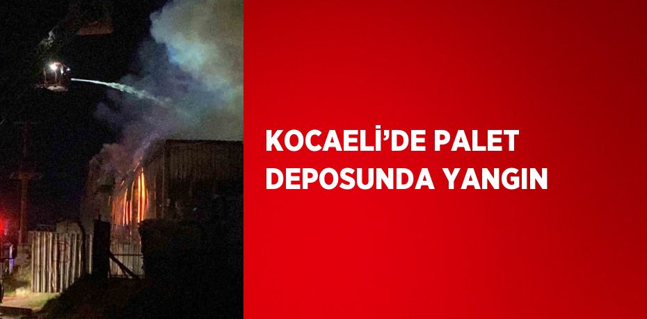 KOCAELİ’DE PALET DEPOSUNDA YANGIN