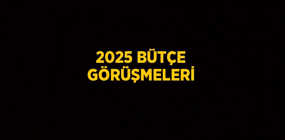 2025 BÜTÇE GÖRÜŞMELERİ