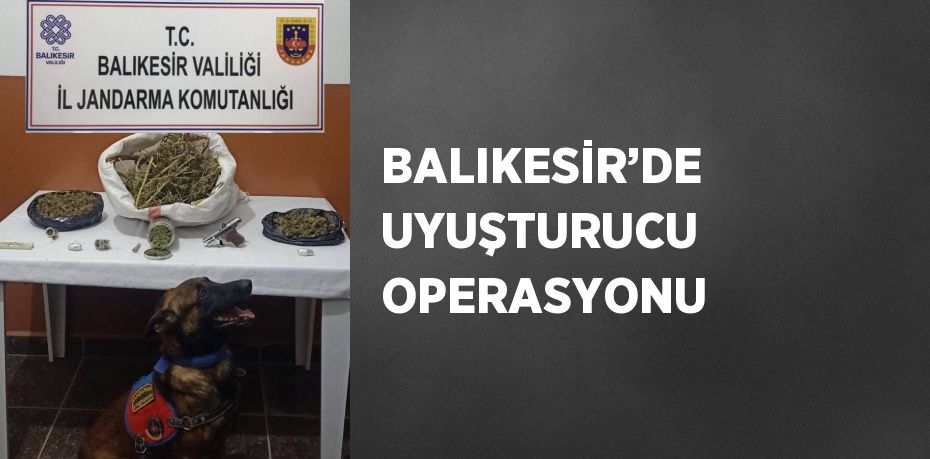 BALIKESİR’DE UYUŞTURUCU OPERASYONU