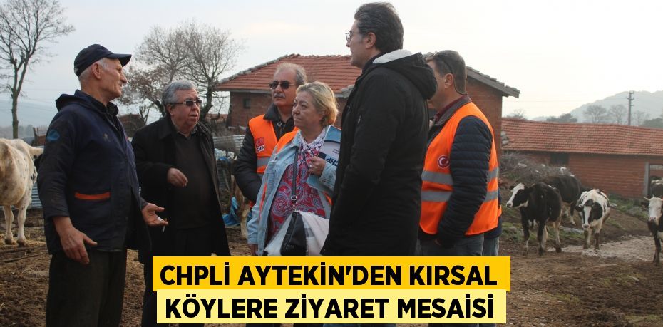 CHPLİ AYTEKİN’DEN KIRSAL KÖYLERE ZİYARET MESAİSİ